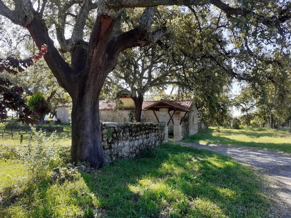 カステロ・ノーヴォ Casa Da Vinhaヴィラ エクステリア 写真