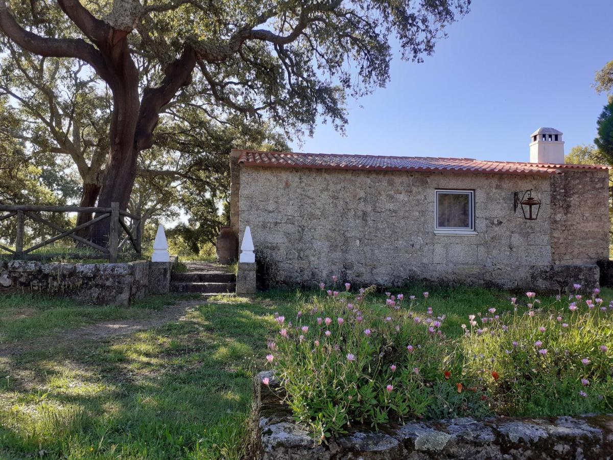 カステロ・ノーヴォ Casa Da Vinhaヴィラ エクステリア 写真