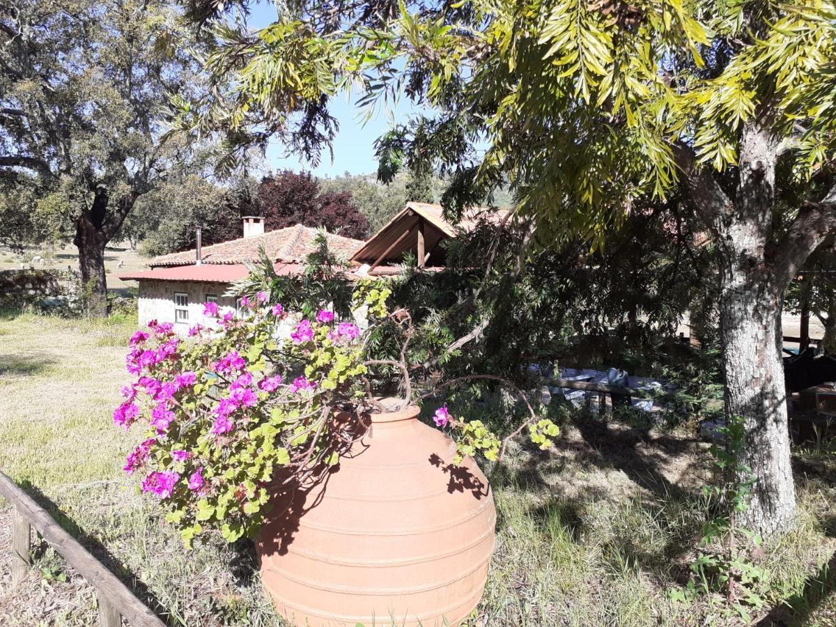 カステロ・ノーヴォ Casa Da Vinhaヴィラ エクステリア 写真