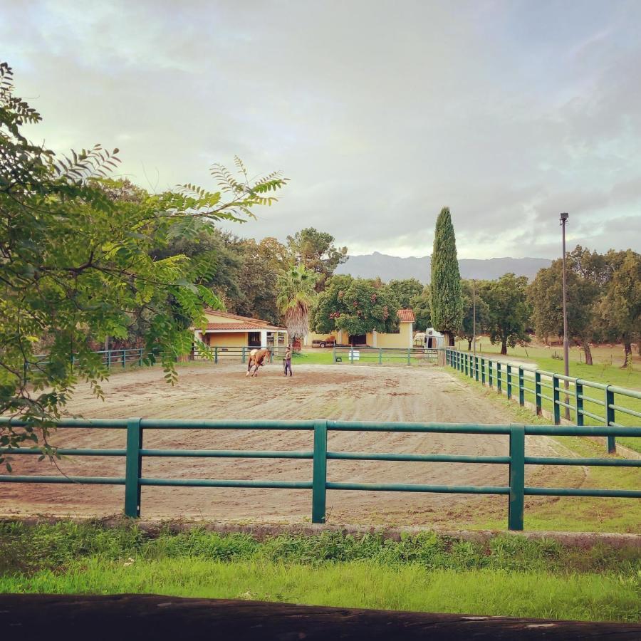 カステロ・ノーヴォ Casa Da Vinhaヴィラ エクステリア 写真